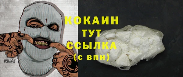 прущие грибы Дмитров