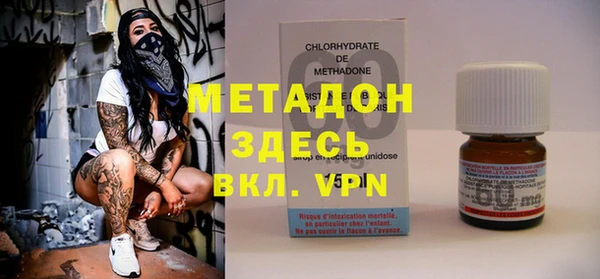 прущие грибы Дмитров