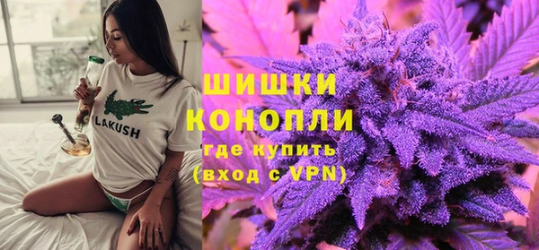 прущие грибы Дмитров