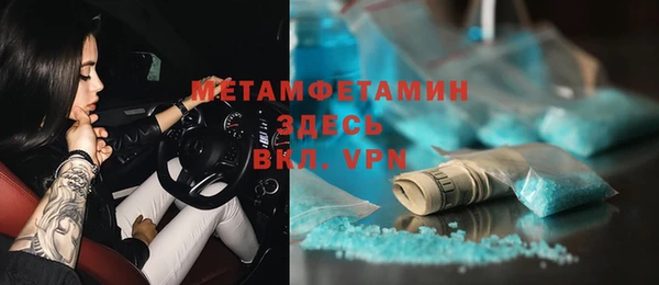 прущие грибы Дмитров