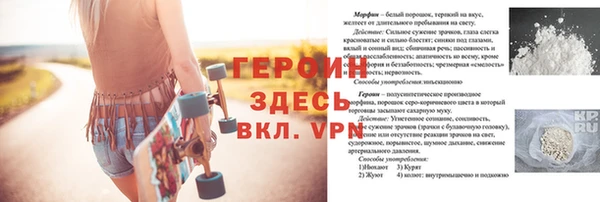 прущие грибы Дмитров