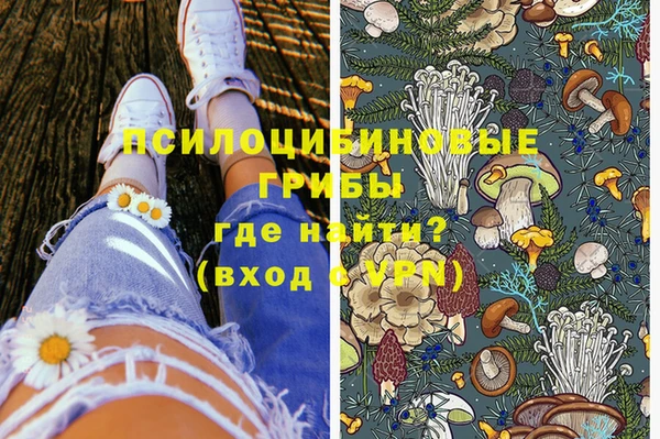 меф Дмитриев