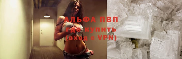 ПСИЛОЦИБИНОВЫЕ ГРИБЫ Дмитровск