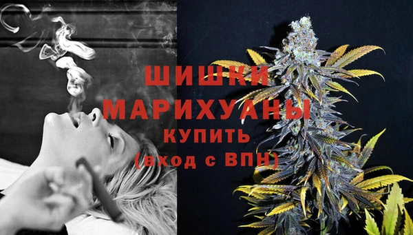 прущие грибы Дмитров