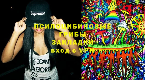 ПСИЛОЦИБИНОВЫЕ ГРИБЫ Дмитровск