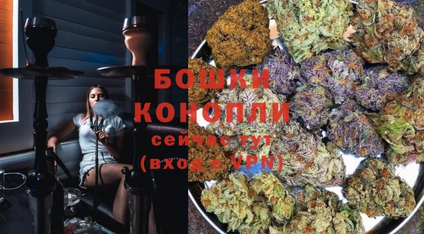 ПСИЛОЦИБИНОВЫЕ ГРИБЫ Дмитровск
