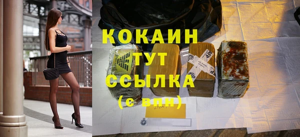 прущие грибы Дмитров