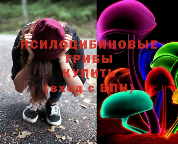 прущие грибы Дмитров