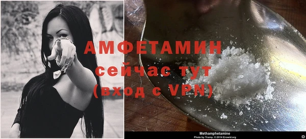прущие грибы Дмитров