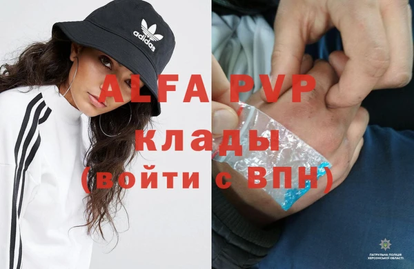 прущие грибы Дмитров