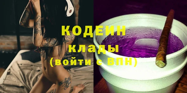 прущие грибы Дмитров